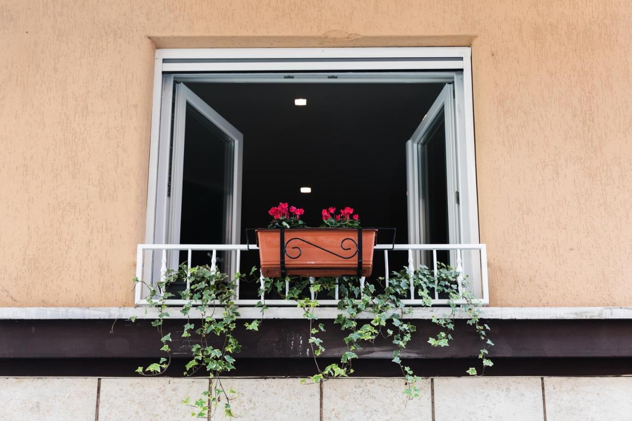 Ziani Vatican Boutique Gasthof